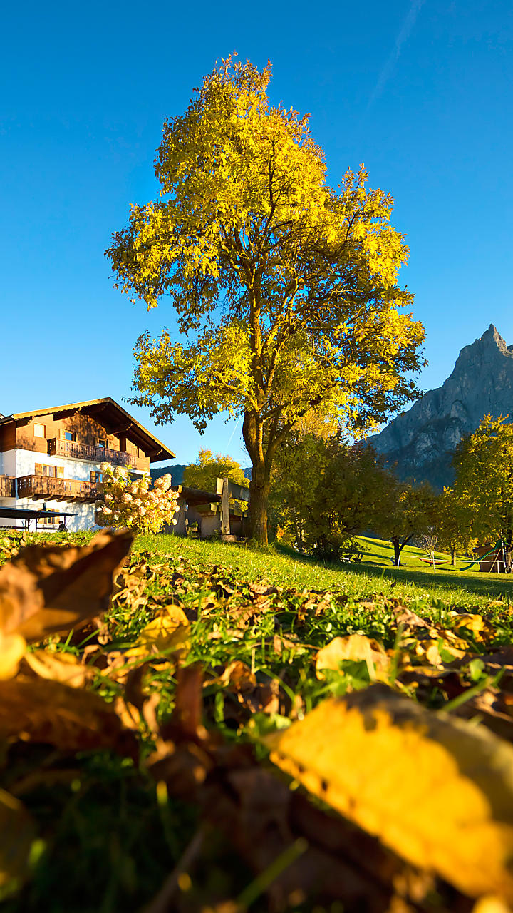 Farm Holidays in holiday flats in South Tyrol