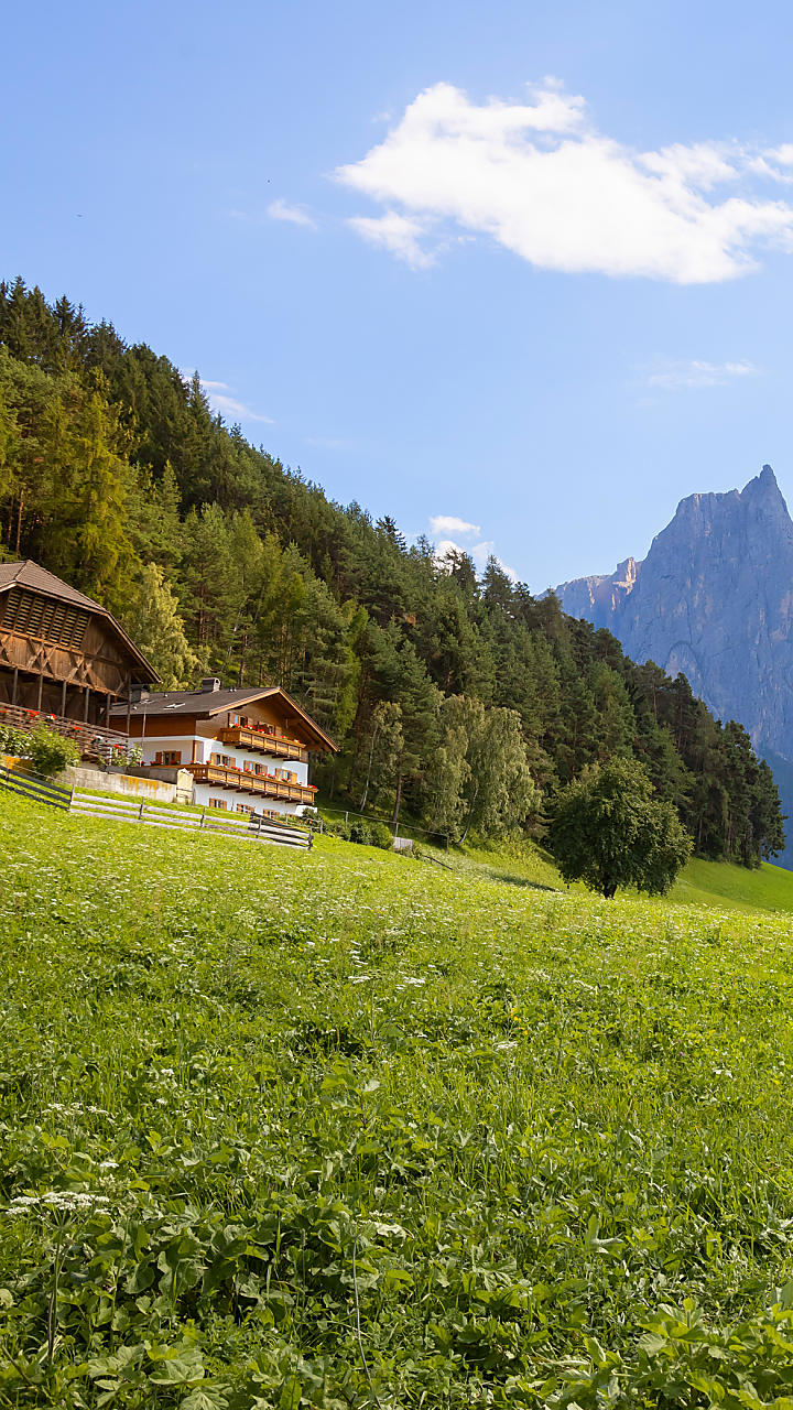 Farm Holidays in holiday flats in South Tyrol