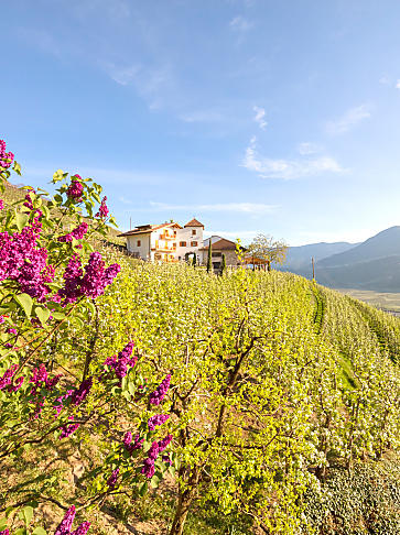 Spring holidays on the farm in South Tyrol