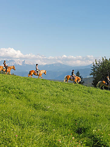 Riding holidays in South Tyrol: horse whispers on the farm